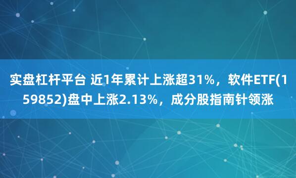 实盘杠杆平台 近1年累计上涨超31%，软件ETF(159852)盘中上涨2.13%，成分股指南针领涨